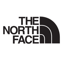 Load image into Gallery viewer, Vyriškas pūkinis paltas &quot; THE NORTH FACE&quot;