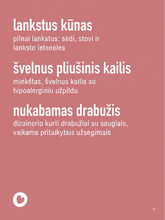 Load image into Gallery viewer, Pliušinis žaislas “Laimingas katinėlis”