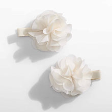 Load image into Gallery viewer, Plaukų segtukai “Abel&amp;Lula”