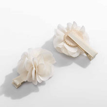 Load image into Gallery viewer, Plaukų segtukai “Abel&amp;Lula”