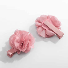 Load image into Gallery viewer, Plaukų segtukai “Abel&amp;Lula”