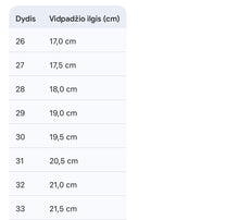 Load image into Gallery viewer, Laisvalaikio batai