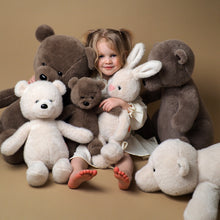 Load image into Gallery viewer, Pliušinis žaislas meškutis 25cm.